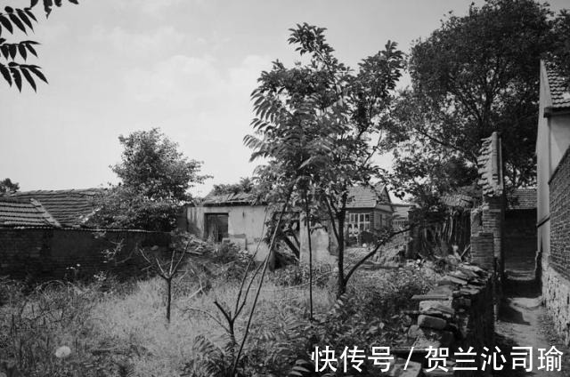 战斗片|儿时农村看电影的苦涩记忆