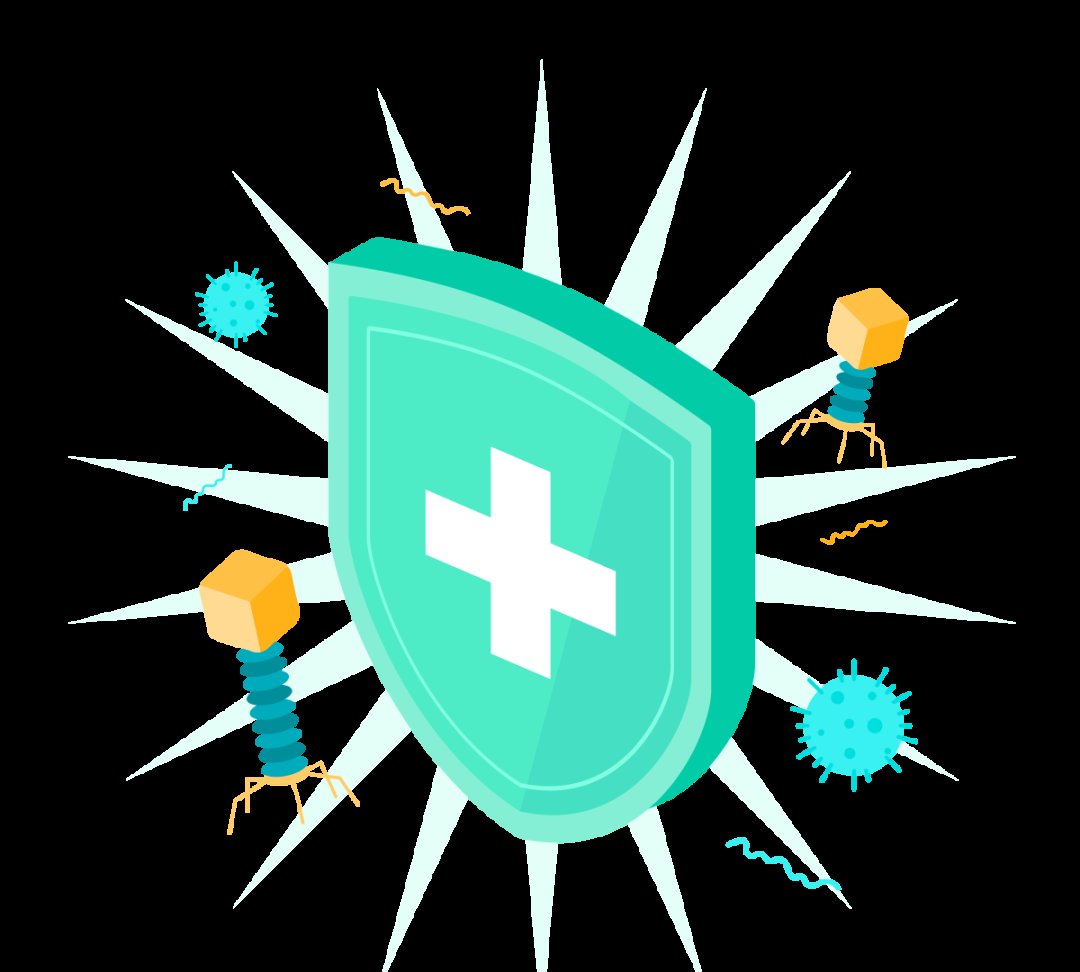 储存|女子接触霉变玉米后肺部长满黄曲霉菌，什么是黄曲霉毒素，它有哪些危害？