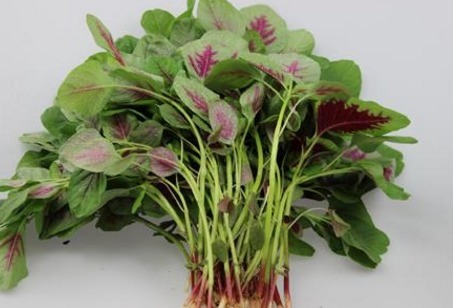 肥胖|十个女人九个湿,3种蔬菜每周吃一次,远离湿毒肥胖的烦恼