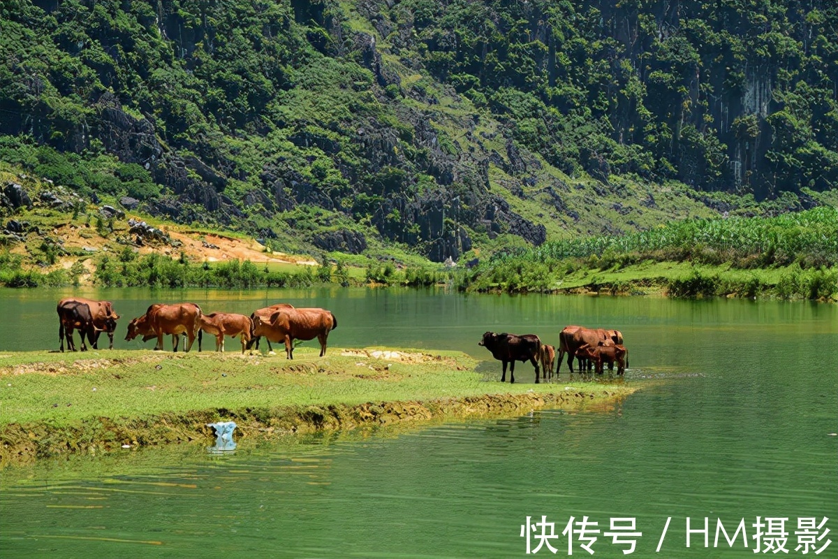 广东省|广西又一景区走红，享有“世外桃源”之称，距县城只有40公里