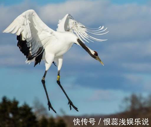 子女|过了60,自私的父母最伟大!此文很有意义,希望中老年人认真读读