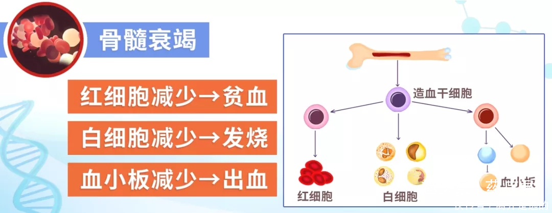 女子背部肩部总是有血印，以为是内衣勒得，检查结果承受不住