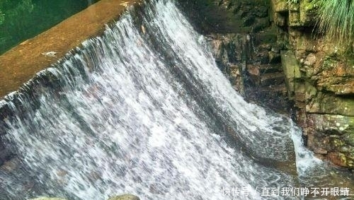 画卷|古树参天、掩天遮日、曲径幽远,一幅绚丽多彩的画卷