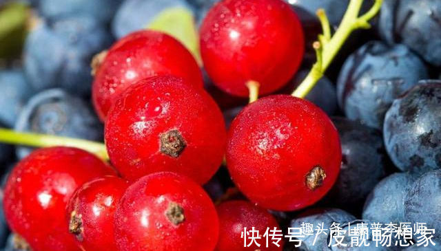 食物|肌肤差的人要会吃,推荐以下食物,养颜排毒,改善体质,显气色