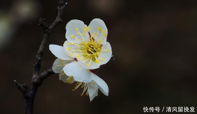 得罪|简简单单两句话,让你少得罪多少人!(深度好文)