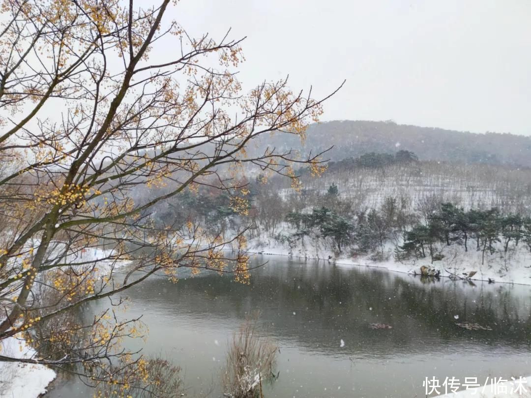 心动的感jio !！临沭绝美雪景大片，如诗如画