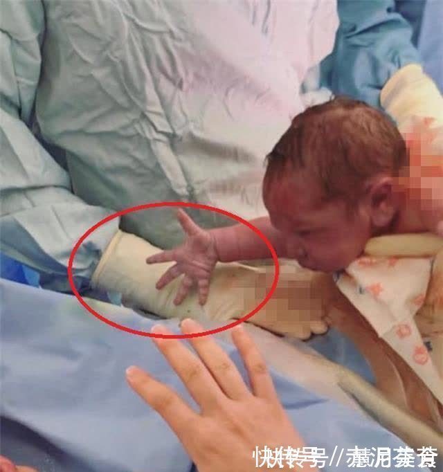 安静了|新生儿“伸手”找妈火了，刚出生就要妈妈抱，网友直呼太暖心