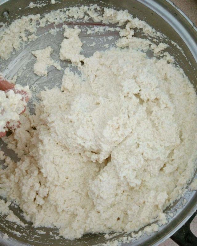 秋冬土里掺点它,君子兰,蟹爪兰,疯狂开花,叶子绿出油