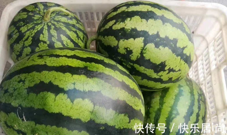 入伏|三伏天，不管有钱没钱，都要多吃“伏天5瓜”，应季而食顺利入伏！