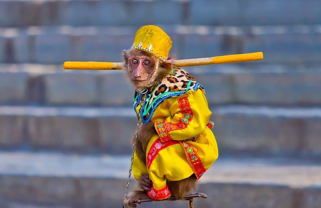 原型|它是西域古国,也是《西游记》中乌鸡国的原型,境内真有流沙河