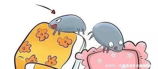 床垫|床垫用久了成螨虫窝,聪明的婆婆用这个土方法,立马将螨虫杀干净