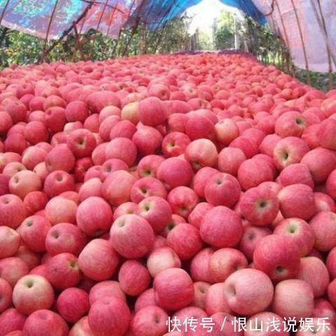 营养价值|苹果好吃但不能瞎吃,什么时间吃比较好你知道吗?