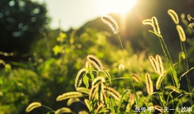 酬张少府|20首传诵千古的诗词,全是顶级名篇,每一首都值得背下来