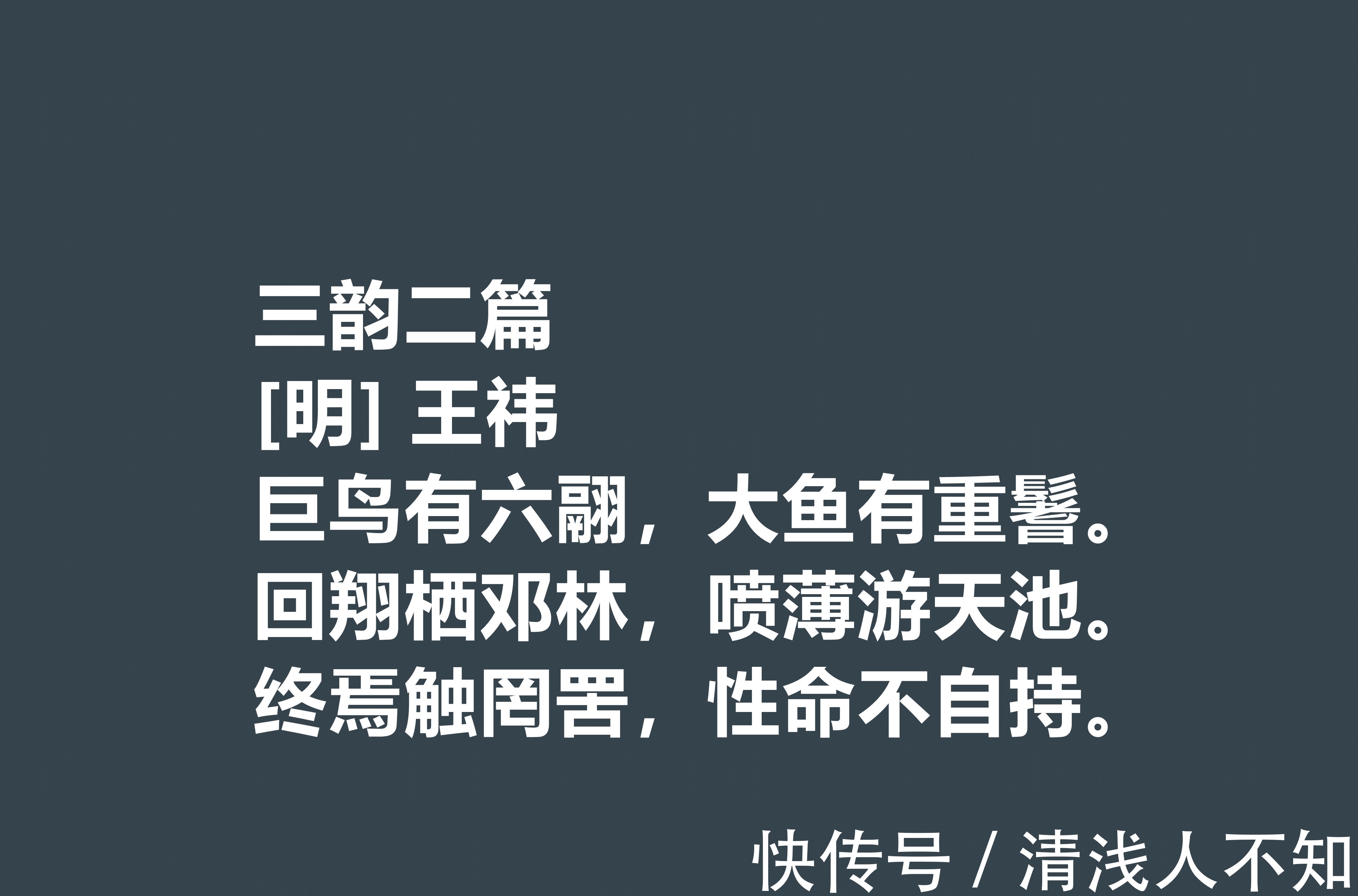 陶靖节@明朝初期文学家,王袆这十首诗作,道理深刻,暗含诗人远大的理想