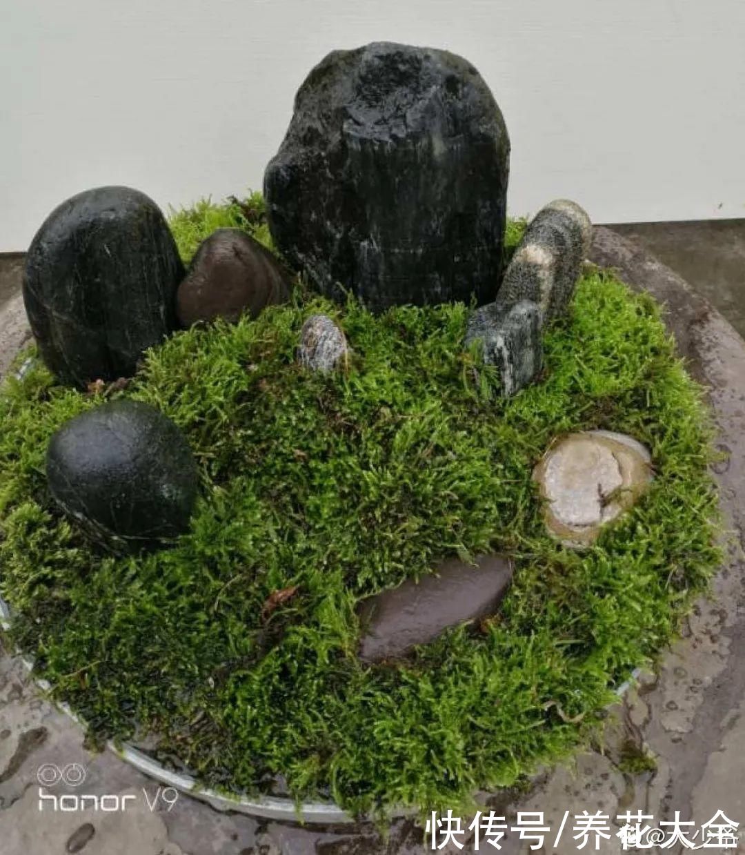 过完年，垃圾桶周围多了不少花，又要开始捡破烂儿了