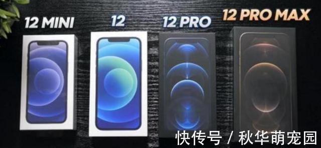 iphone12pro|苹果12和苹果12pro选择哪个好，看看对比结果就知道