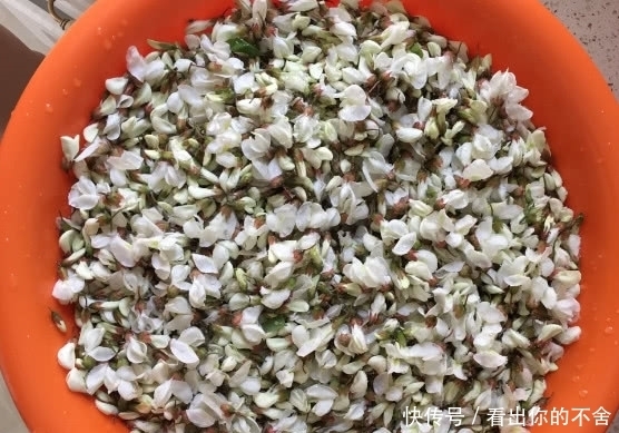 洋槐花是我们逝去的童年,如何保存洋槐花?这2招你试过了么