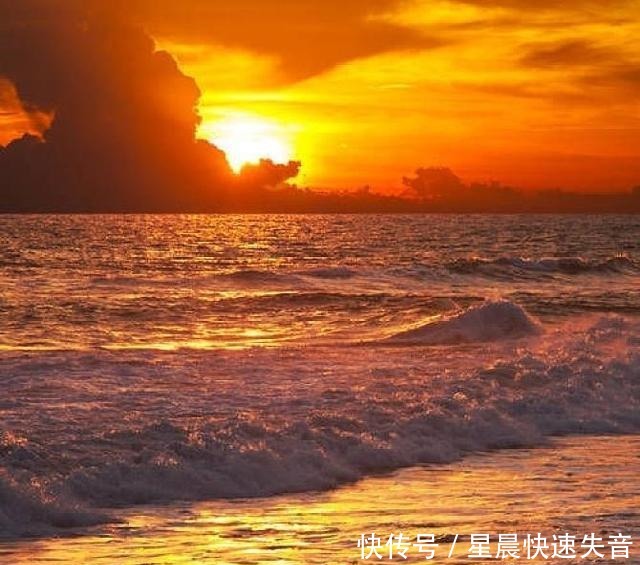 《鸟声透明的鸟声》我只是秦岭边上,匆匆的过客