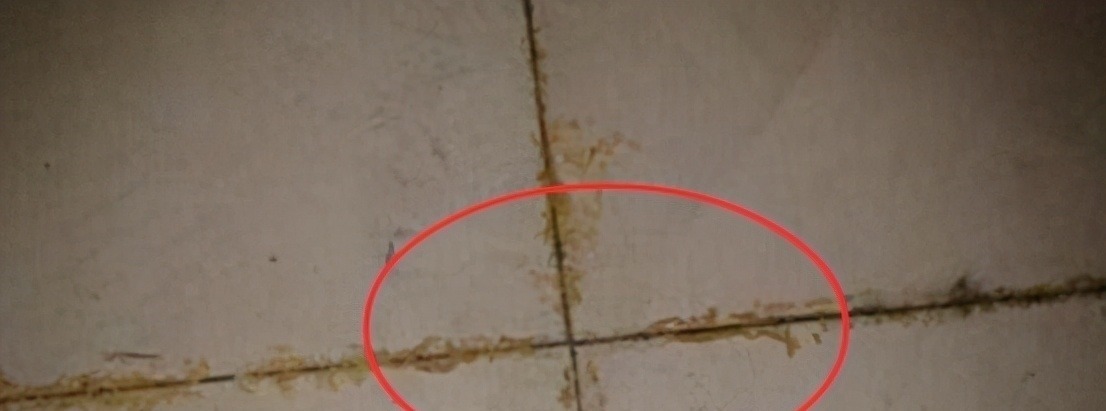 新家|刚入住新家,老舅来做客对17个装修项不满怒骂:不懂别乱装!