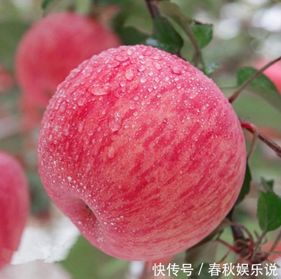 功效|吃苹果的三个黄金时间，吃对时间减肥功效翻倍，你们吃对了吗