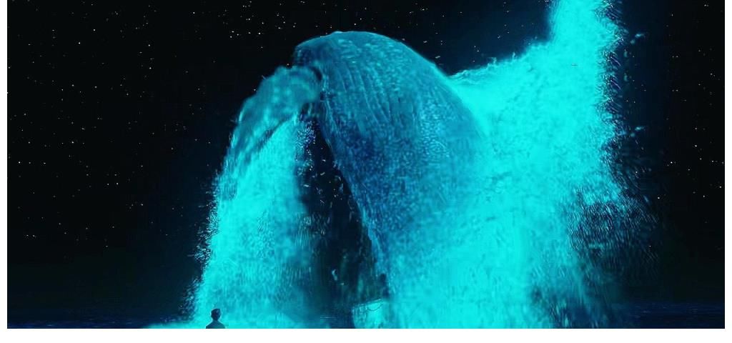 动物园|影视推荐《少年派的奇幻漂流》