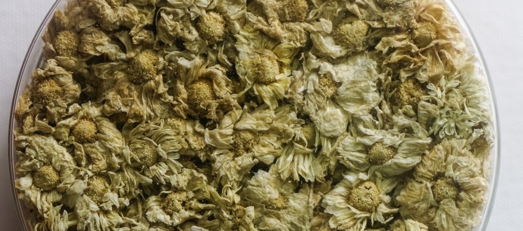 杞菊决明茶|眼干眼涩眼疲劳,中医,你的肝出了问题,这杯茶就就能解决问题