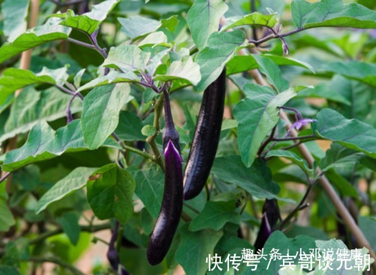 降血压|茄子配上它，降低高血脂，降血压！女人不想满脸皱纹，可以试试