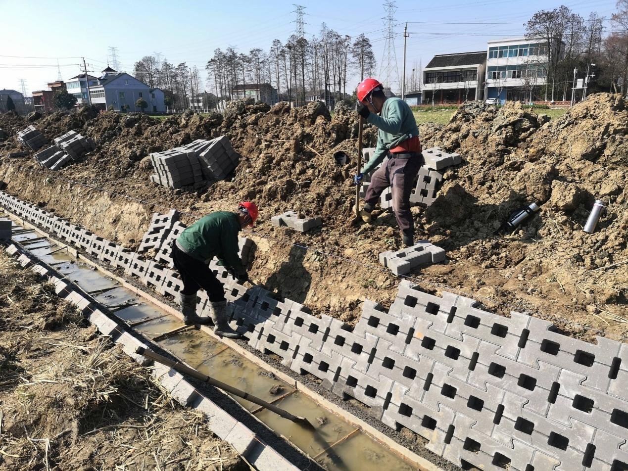 桐乡经济开发区（高桥街道）加快推进高标准农田，助力产业美建设