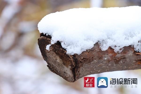 入冬|@邹平市民：入冬以来第一场雪请您查收