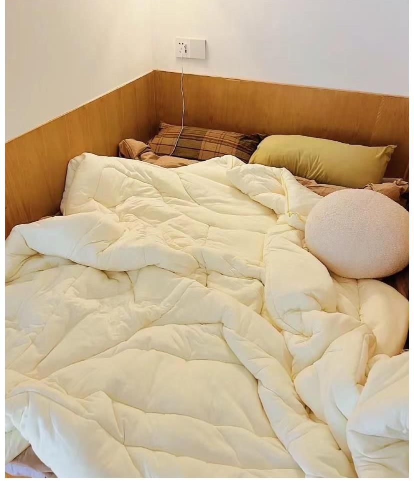 狗狗|30㎡小户型，客餐厨全都有，还有独立的狗狗房，1平米当2平米用