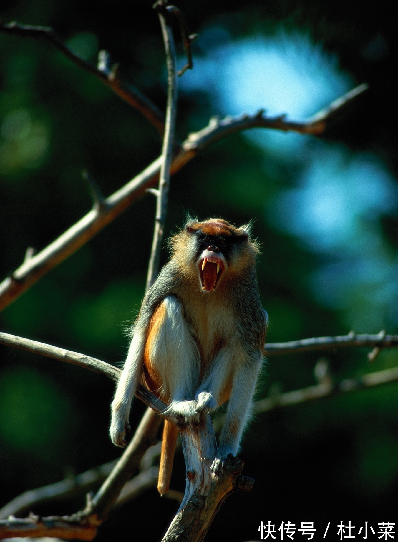 老子@列子的智慧