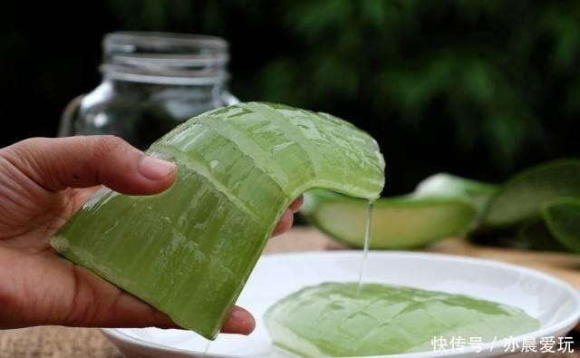 常春藤|卧室就养4种花,“养人”又养气,不是没有道理