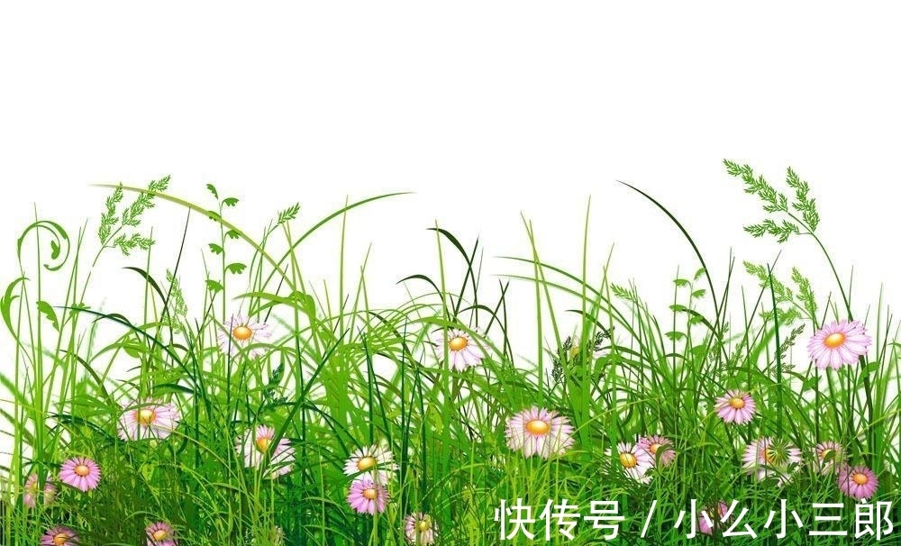 春雨#诗词里的春风、春雨、春情,美到极致,有没有哪一句令你心动呢?