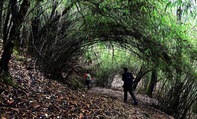人坚守一座寺庙,是什么力量让他坚持下来的