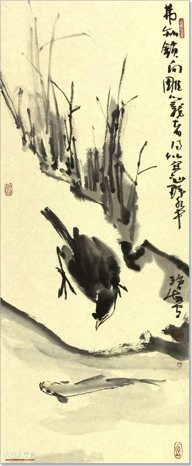 33cm|尹沧海教授八哥作品欣赏:融历代名家的绘画语言于一体