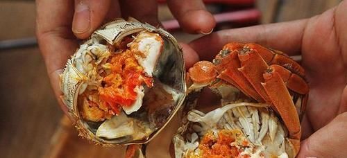 买螃蟹不要随便挑,牢记这4点,老板一看你就是行家,不敢忽悠你