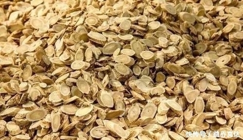 金银花茶|人参一斤不如它一两,坚持泡水喝,或能补气养血,让你60不显老