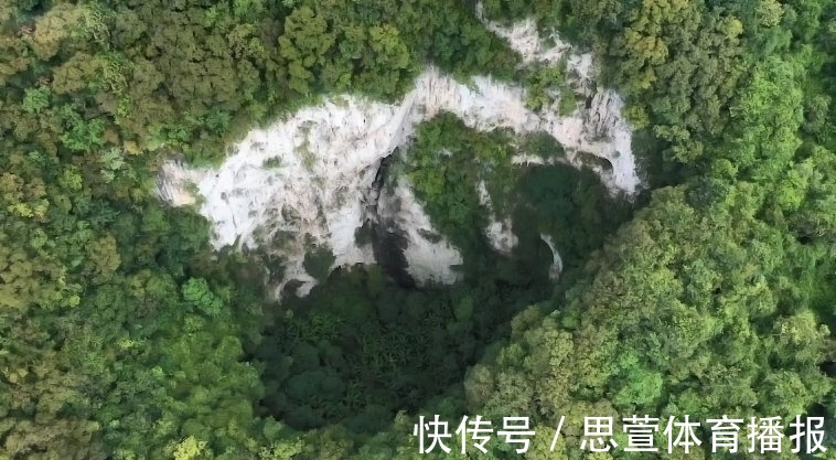 云南百米天坑下,发现消失了百年的生物,上次见它还是在1893年