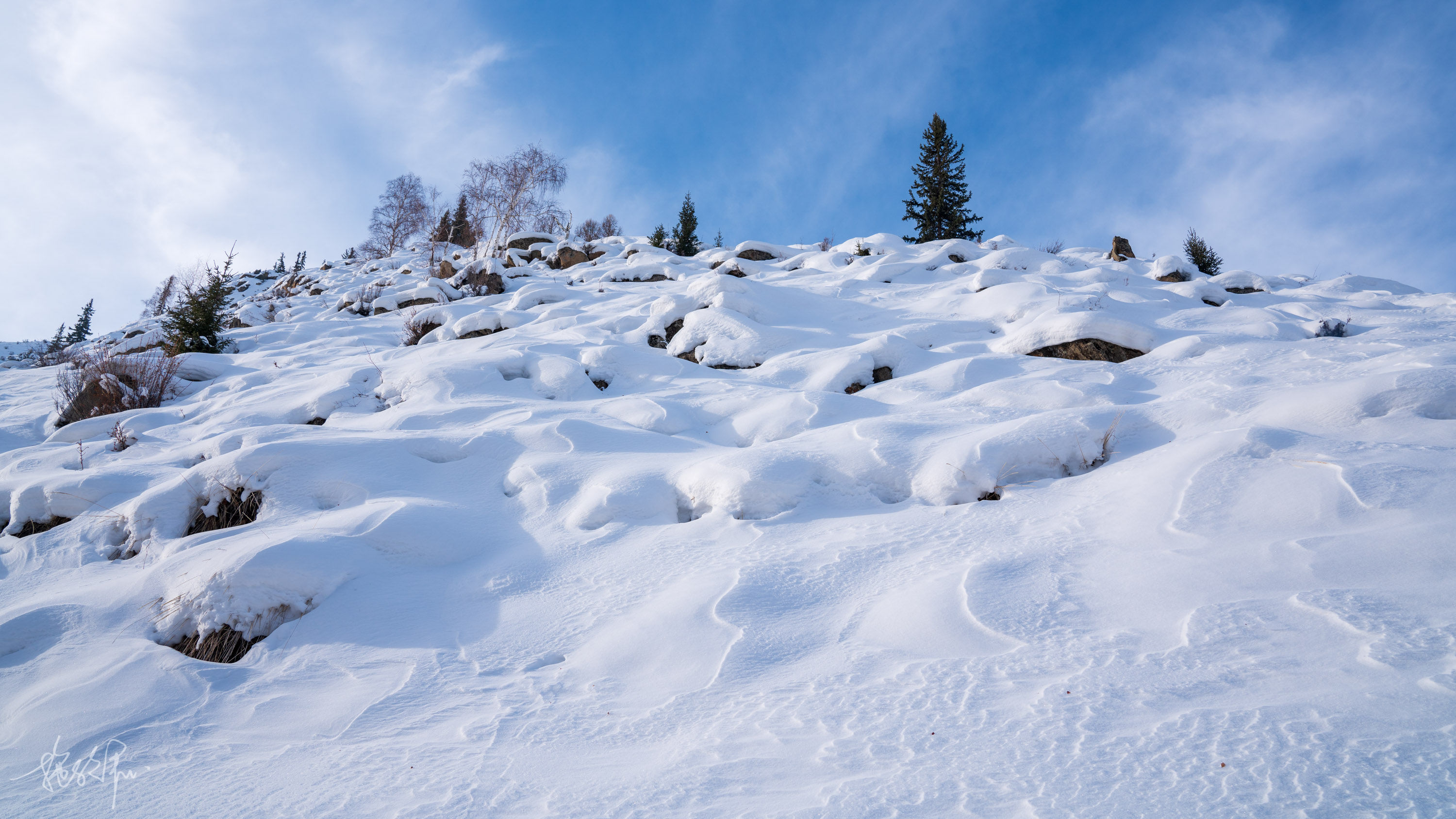 自驾新疆23天：北疆冰雪童话世界（上）