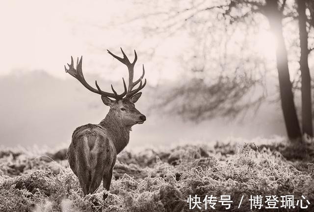 春秋|贵族消亡史:春秋之后,再无贵族