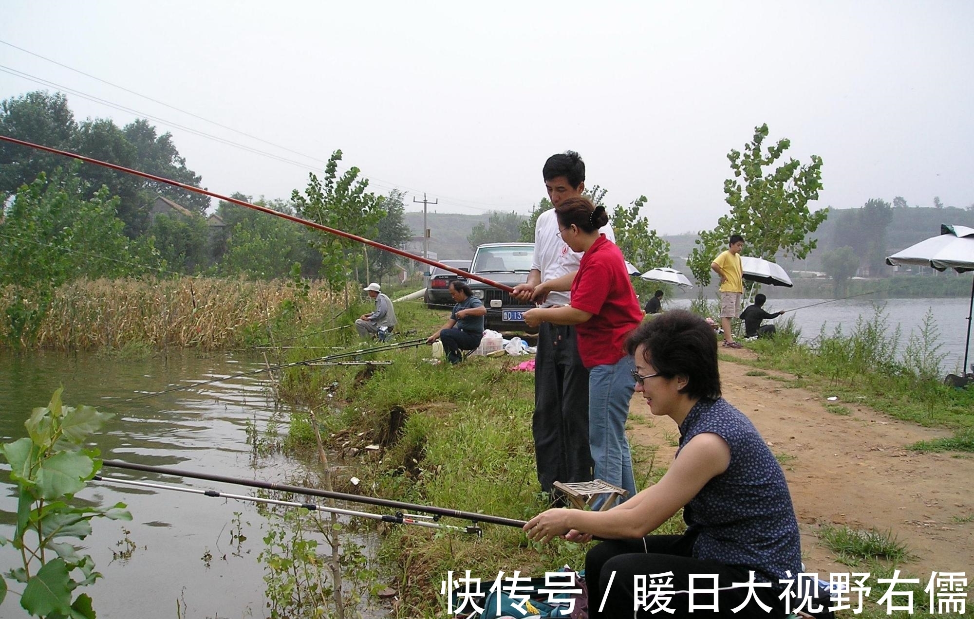 鲫鱼|一到夏天 是不是感觉鱼很难钓？原因全在这里，今天统统告诉你