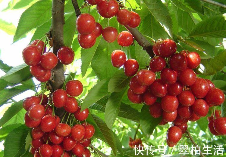 陈医师|人到中年想长寿,不妨常吃3种食物,排出体内废物,谁吃谁知道