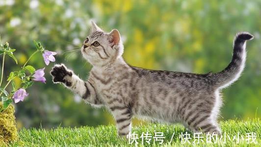 |幽默笑话:记得我跟前男友冷战,前男友是摩羯座,一冷战就没完了