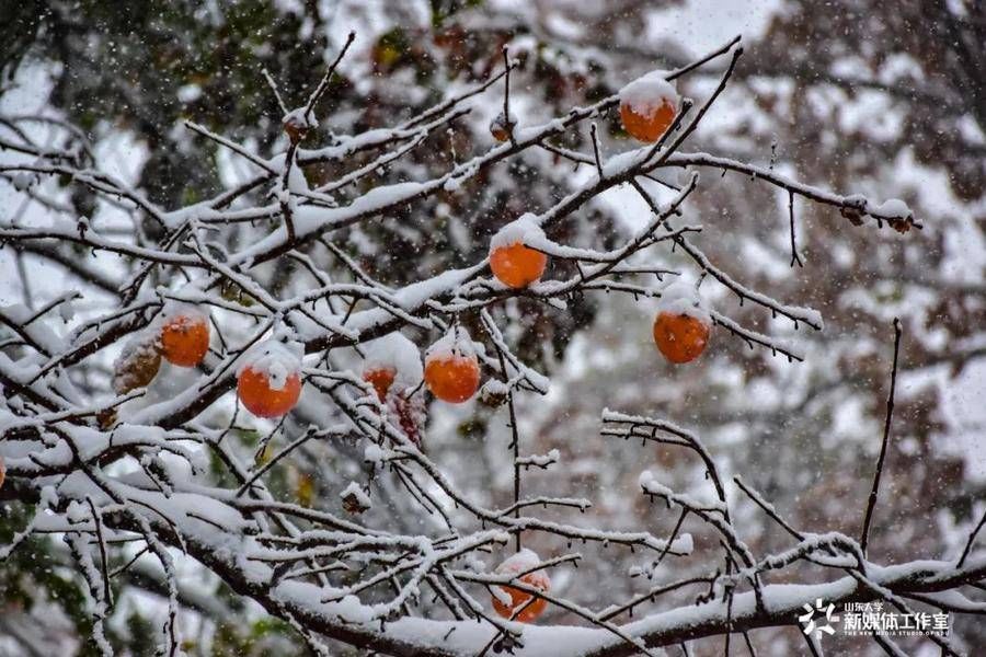 大雪|大雪虽美也让出行变难，扫雪除冰！山大师生两小时清出安全通道