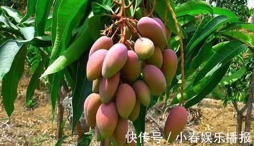 皮肤|想皮肤变好,春天吃的食物,滋润肌肤,延缓衰老,增强免疫力