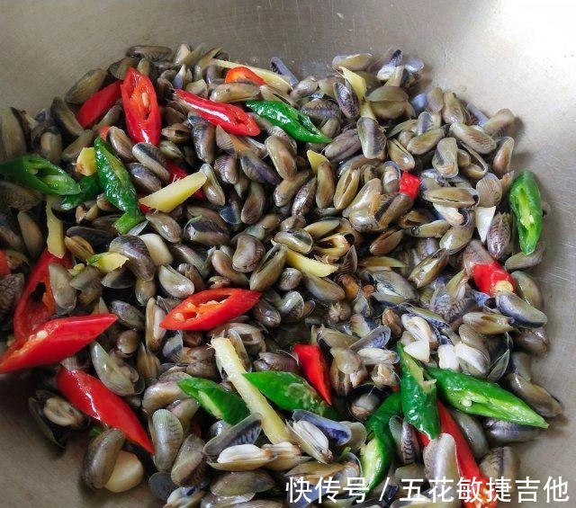 寻氏肌蛤|辣炒海瓜子,一口一个,很鲜美!