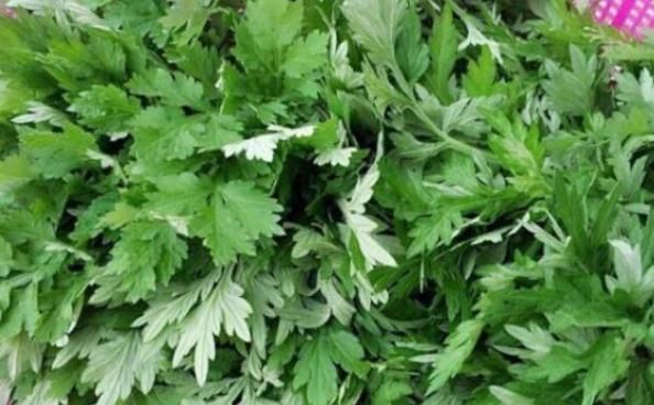 农村|“家有三年艾,郎中不再来”,艾草功效多到数不清!遇到要多采!