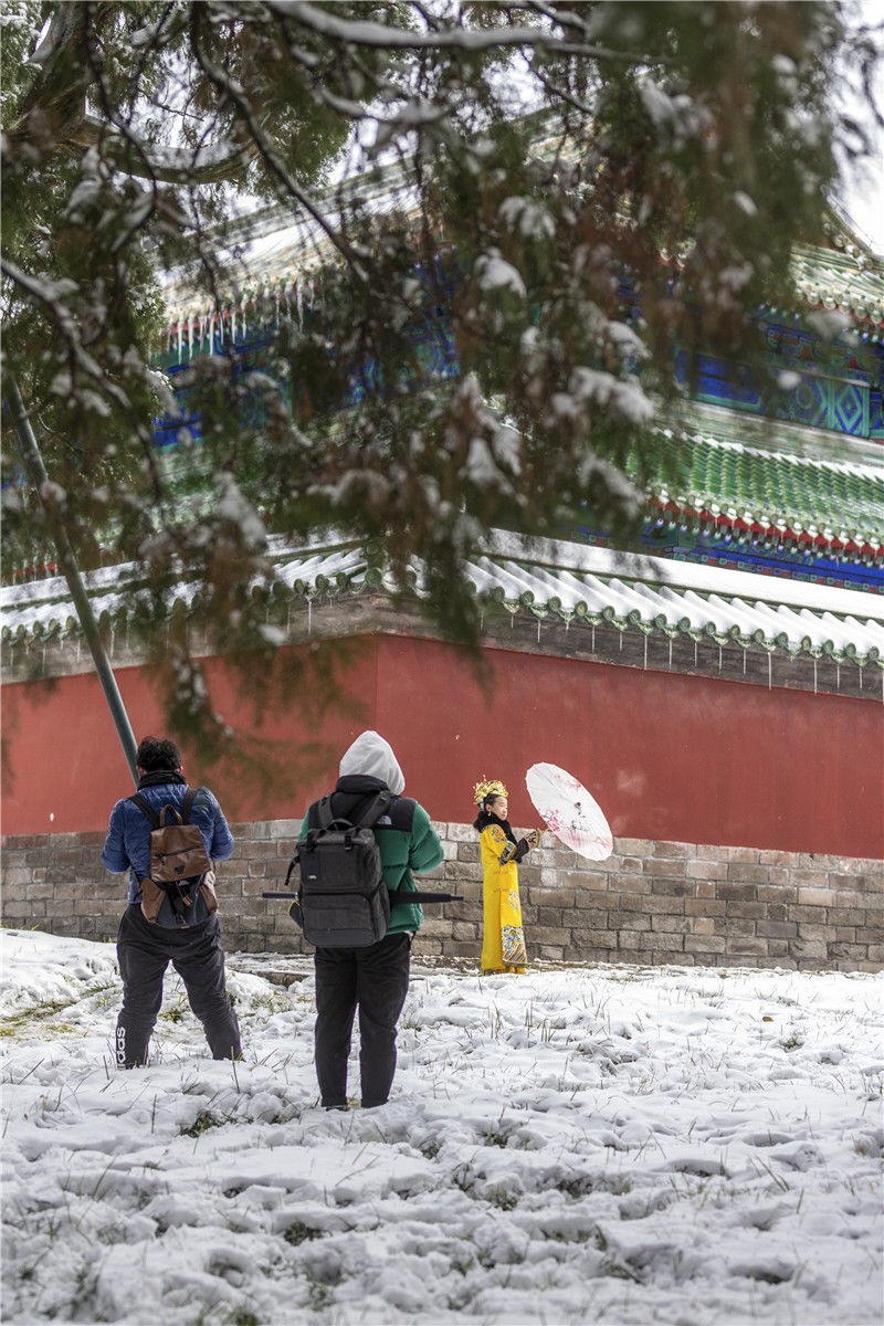 谢松信|雪后天坛美景