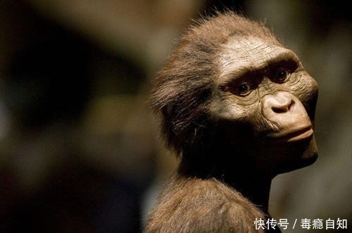 人可以设计出原子弹,登月,但除了种植,为什么造不出一粒米