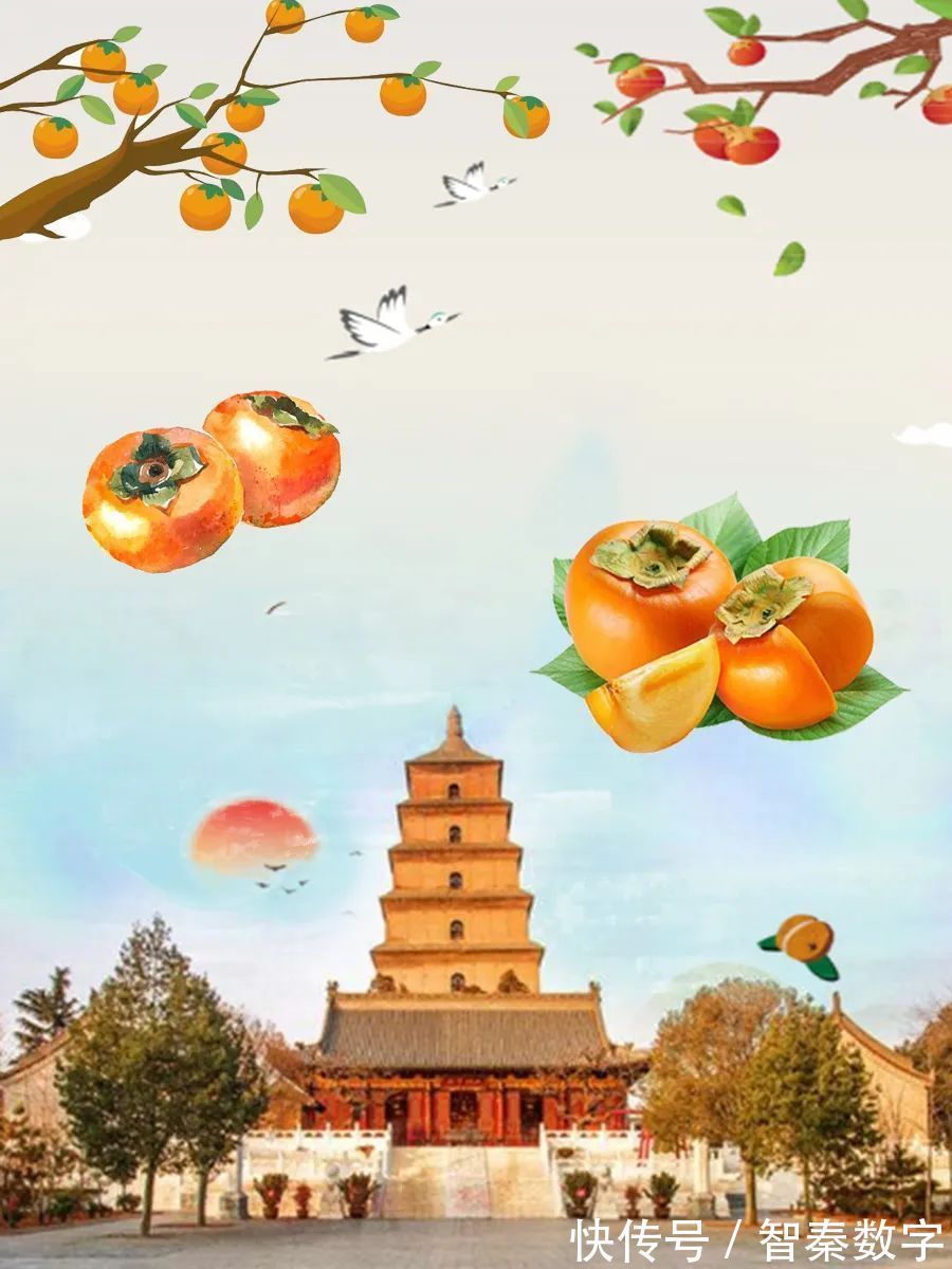 秋天的最后一次回眸|明日霜降| 霜降